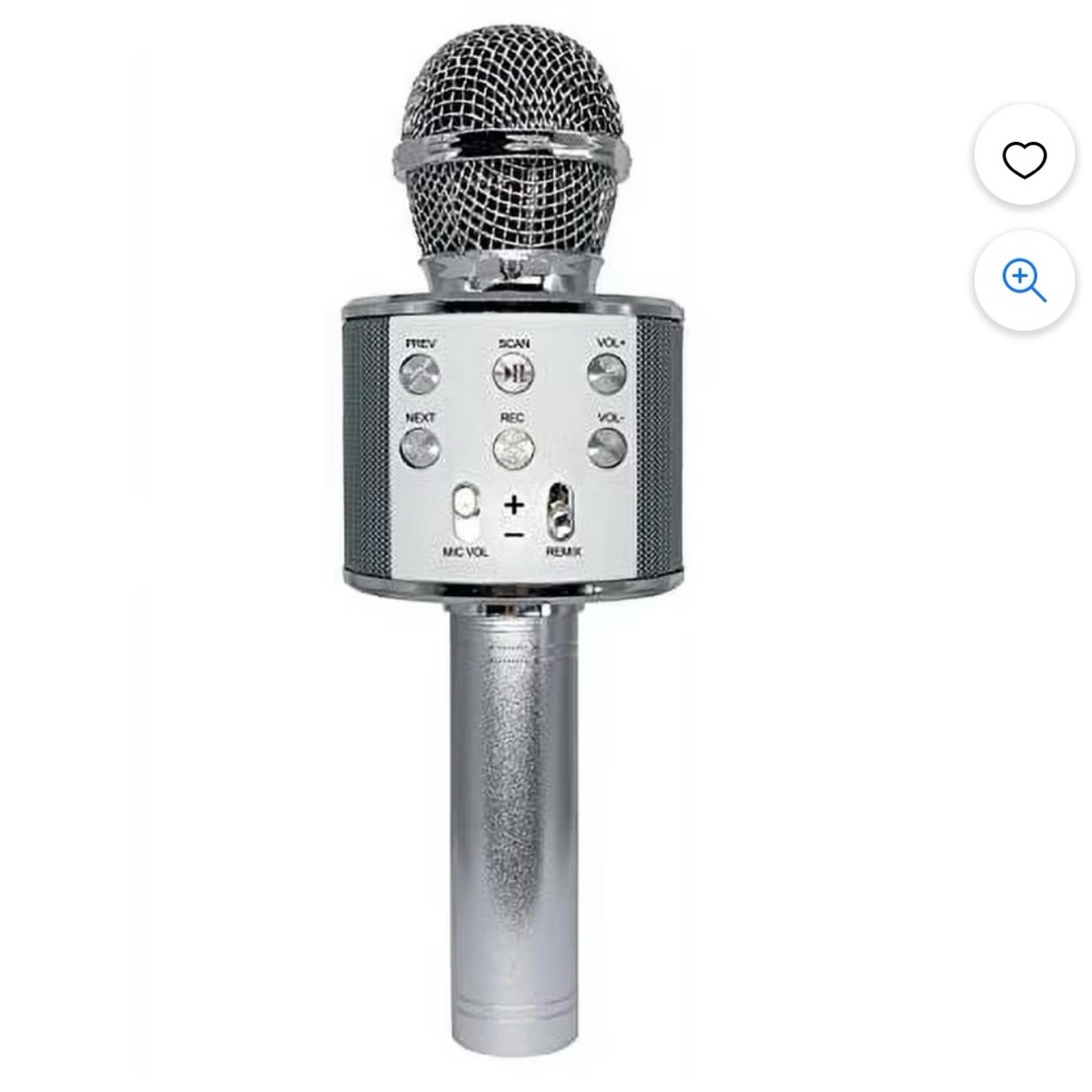 Gabba Goods Karaoke Mic 🎤